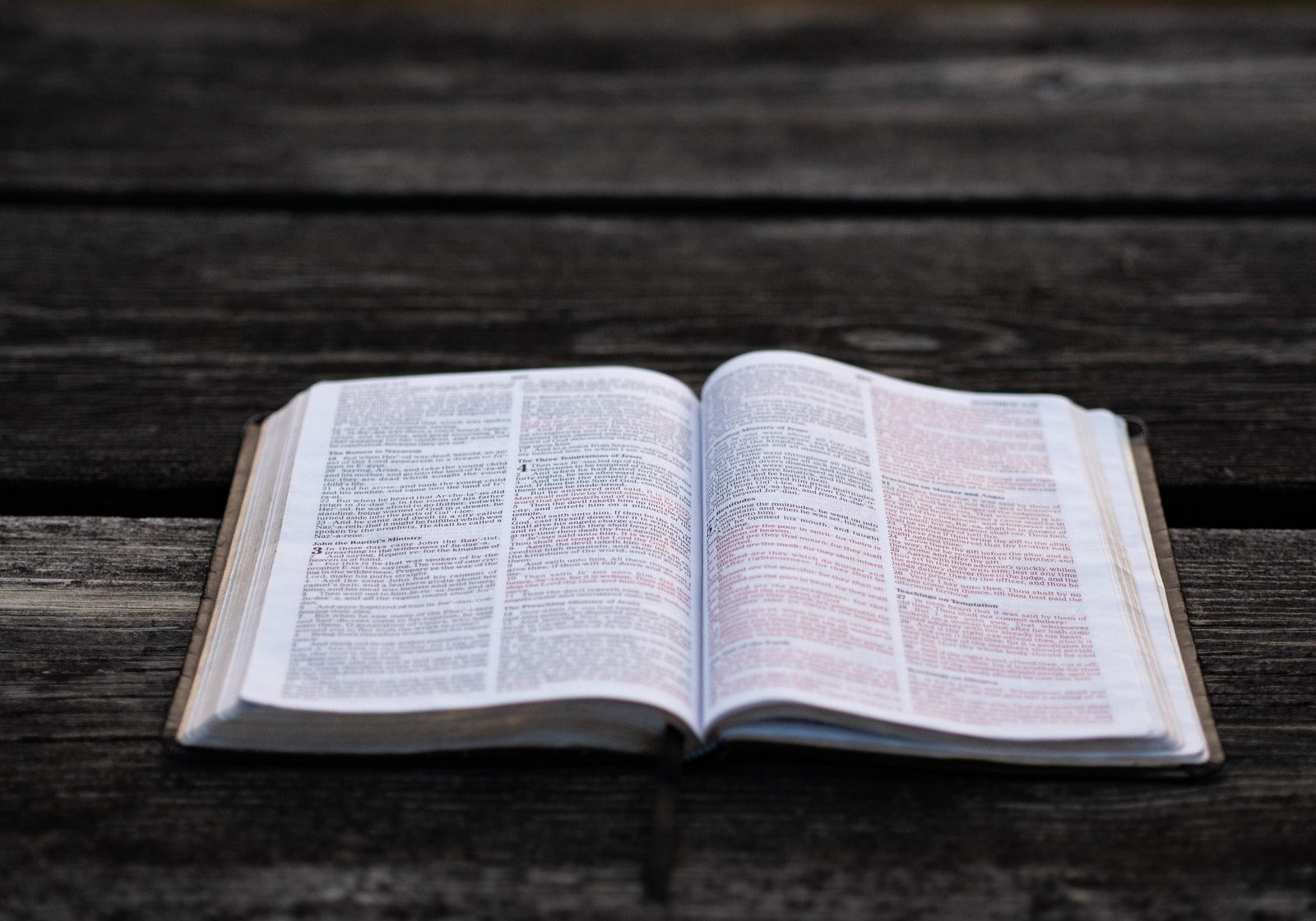 holy bible